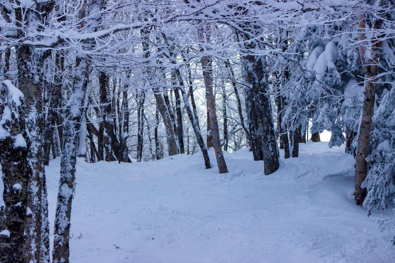 Smugglers' Notch Resort Private Suites Cambridge 외부 사진